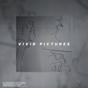 “vivid pictures”的封面