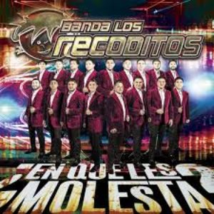 Image for '¿En Qué Les Molesta?'