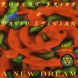 “A New Dream”的封面