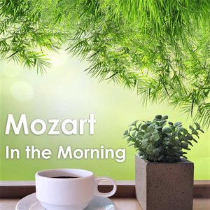 Image pour 'Mozart In The Morning'