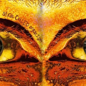 Imagen de 'Single Celled Organism'