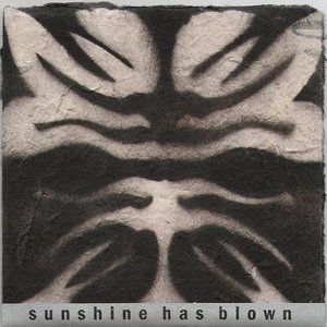 “Sunshine Has Blown”的封面