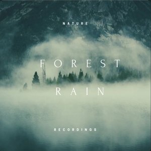 “Forest Rain”的封面