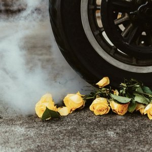 'Yellow Roses' için resim
