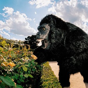 'LA VIDA LOCA'の画像