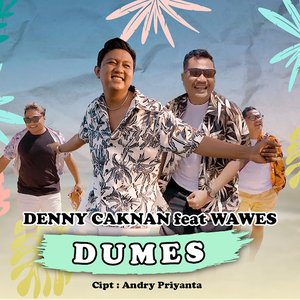 “Dumes”的封面