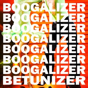 Image pour 'Boogalizer'