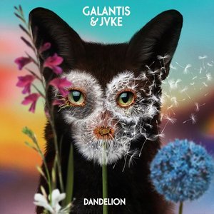 Изображение для 'Dandelion'