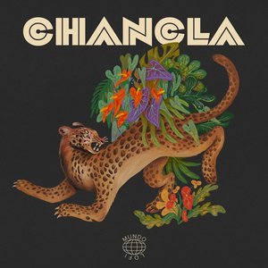 Image for 'Carambola'