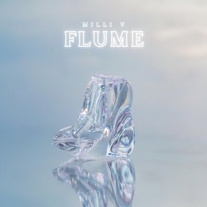 Image for 'Flume'