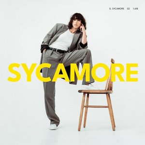 Image for 'Sycamore'