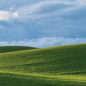 Zdjęcia dla 'alyzea'