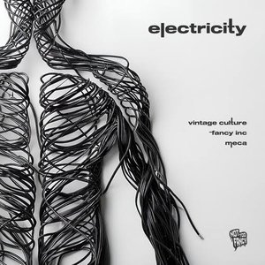 Immagine per 'Electricity'