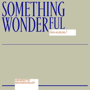Bild för 'Something Wonderful'