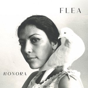 Bild für 'Honora'