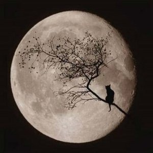 Image for 'Lua - Single'