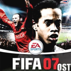 Immagine per 'FIFA07'