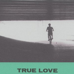 “True Love”的封面