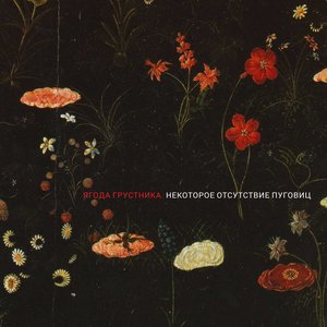 Image for 'Ягода грустника'