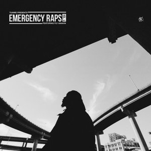 Image for 'Emergency Raps, Vol. 4'