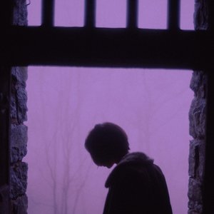 “In tears”的封面