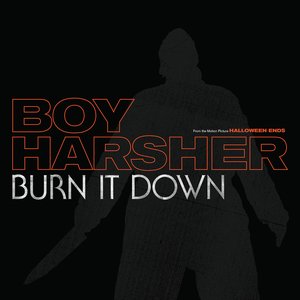 Image for 'Burn It Down'