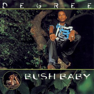 “Bush Baby”的封面