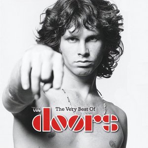 “The Very Best of The Doors”的封面