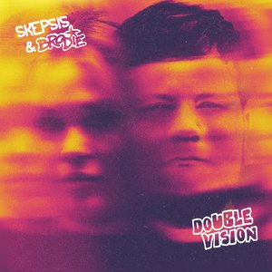 “Double Vision”的封面
