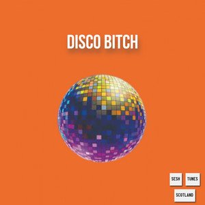 “disco bitch”的封面