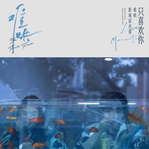 “电视剧《难哄》影视原声带·只喜欢你Love Moments”的封面