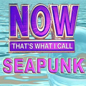 Image for 'NOW THAT'S WHAT I CALL SEAPUNK 2012'