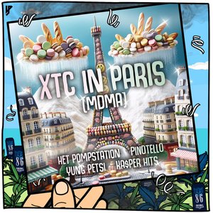 Image pour 'XTC In Paris (MDMA)'