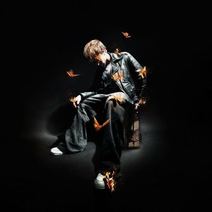 Bild für 'The Butterfly Effect'