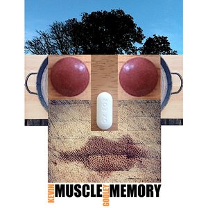 Image for 'MUSCLE MEMORY'