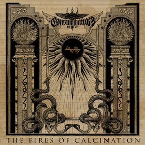 'The Fires of Calcination' için resim
