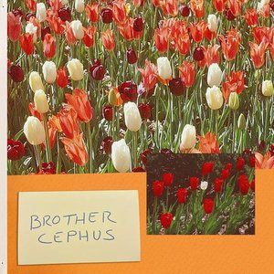 Image pour 'BROTHER CEPHUS'