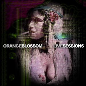 Image pour 'Blossom Live Sessions'