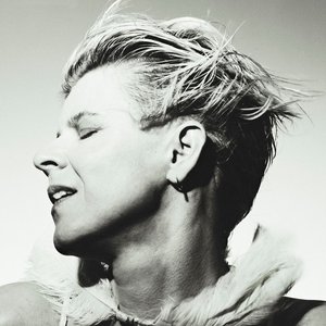 'Robyn'の画像