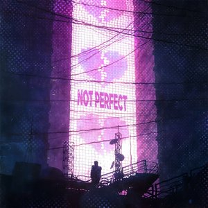Image for 'Not Perfect'