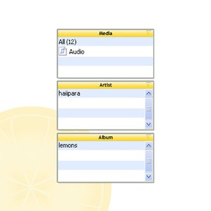 “lemons”的封面