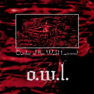 “O.W.L.”的封面