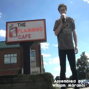 “The Flamingo Café”的封面