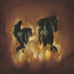 “The Besnard Lakes Are The Dark Horse”的封面