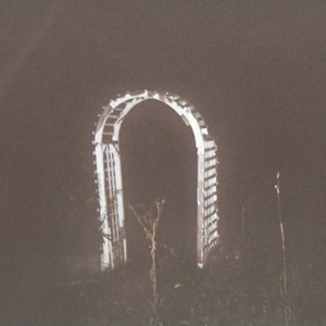 Image for 'Empty Homes (II)'