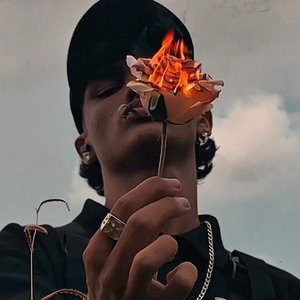“ZackZin”的封面