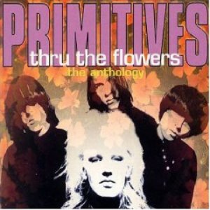 “Thru The Flowers - The Anthology”的封面