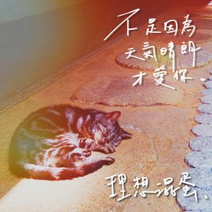 Image pour '不是因為天氣晴朗才愛你'