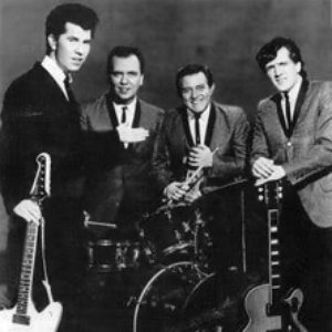 Image for 'Link Wray & His Ray Men'