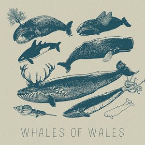 Image for 'Whales Of Wales'